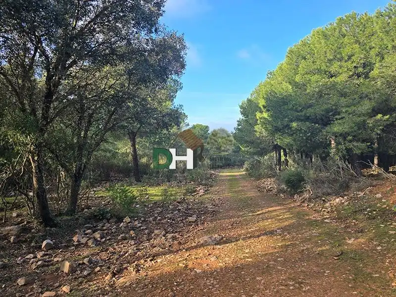 Terrenos y solares en venta en Santa María  - Pío XII, imagen 4