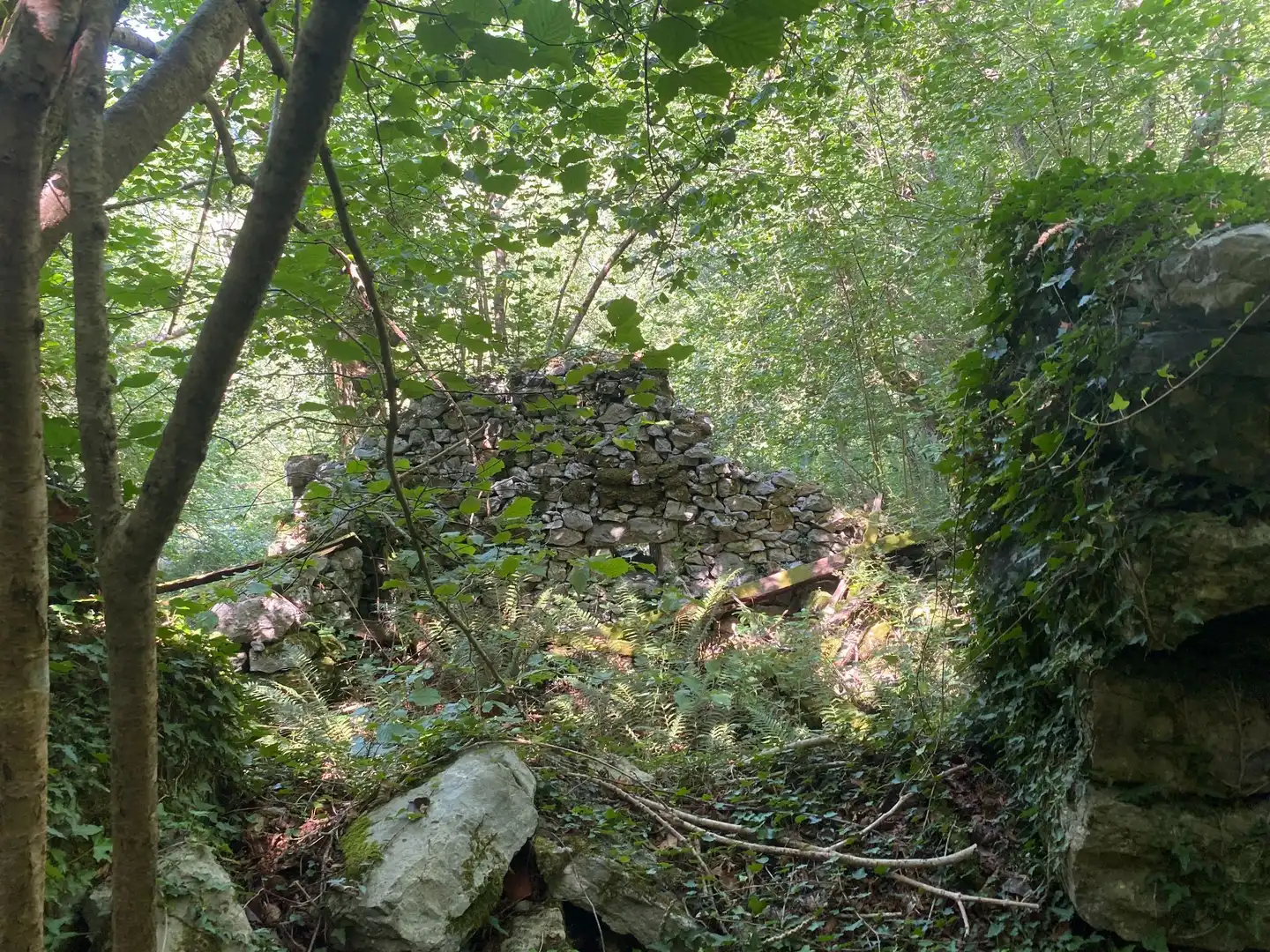 Terreno rustico in vendita a SEGÜENCO, imagen 18