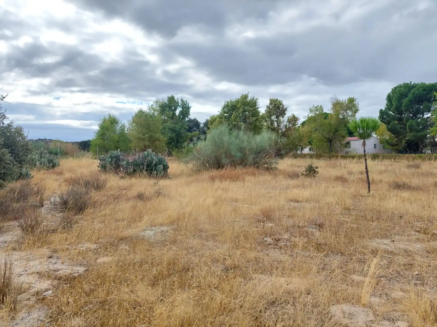 Terreni e lotti in vendita a Santa Cruz del Retamar pueblo, imagen 19