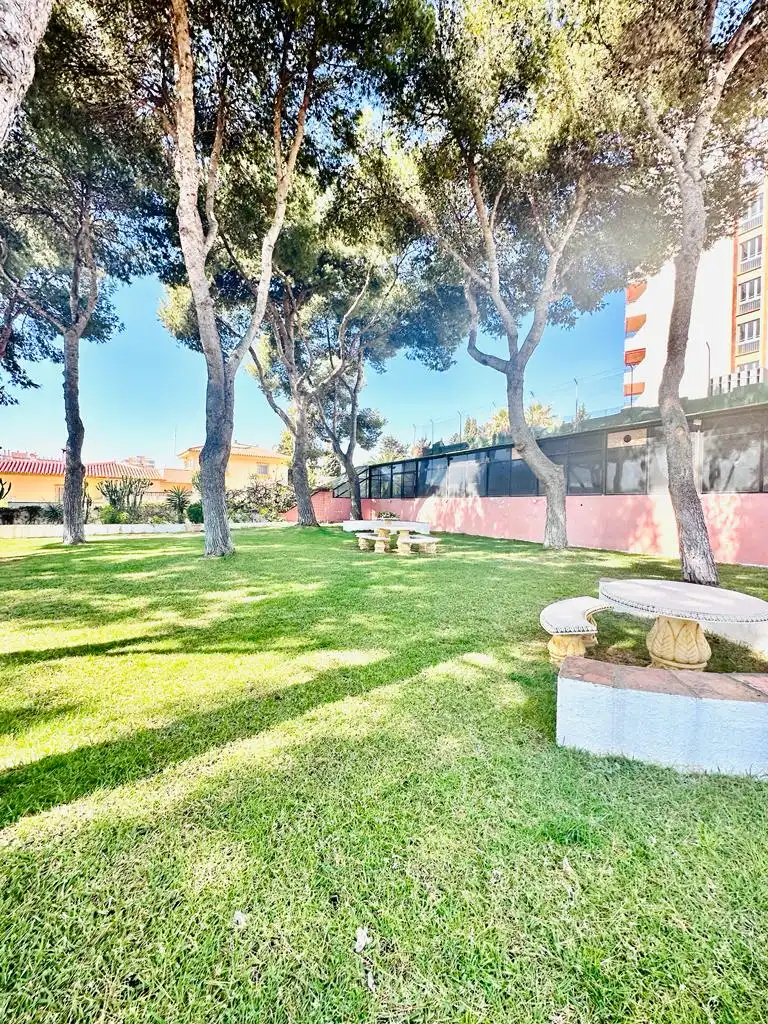 Apartament amb piscina en venda a Avenida Carlota Alessandri, imagen 29