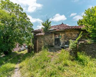 Vista exterior de Casa o xalet en venda en Tineo amb Terrassa