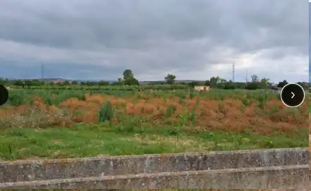 Rural land for sale in Viana, imagen 3