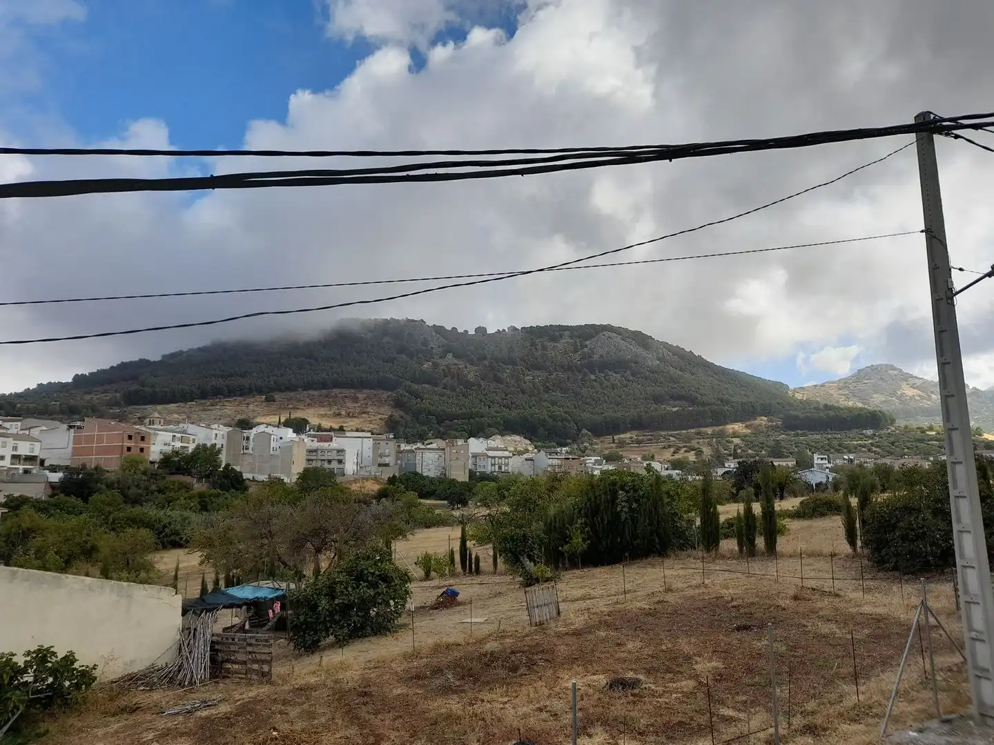 Vista exterior de Casa o chalet en venta en Jamilena con Jardín privado, Terraza y Trastero