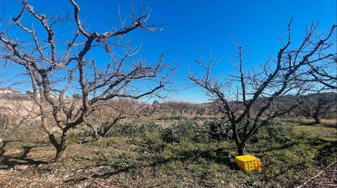 finca regadio posibilidad de construir , immagine 3