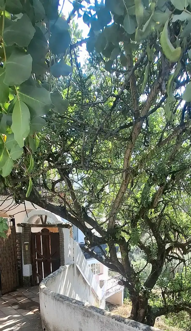 Jardín de Apartamento en venta en Istán