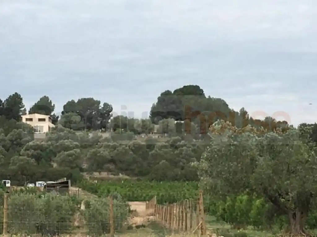 Terreno residenziale in vendita a Móra d'Ebre