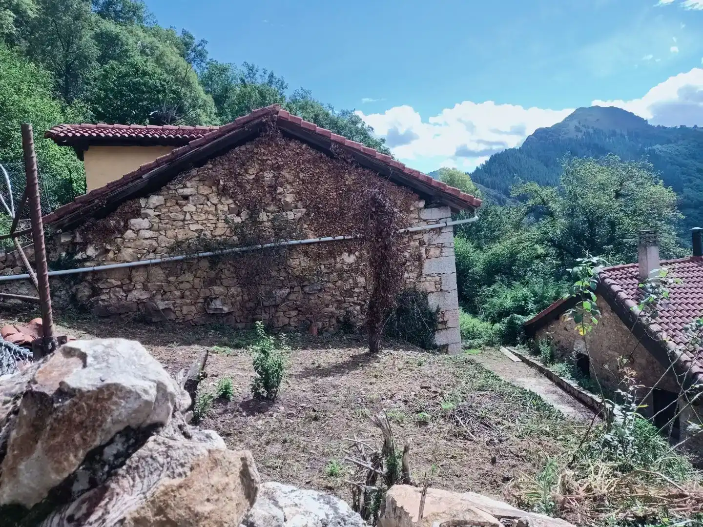 Vista exterior de Pis en venda en Proaza amb Jardí privat