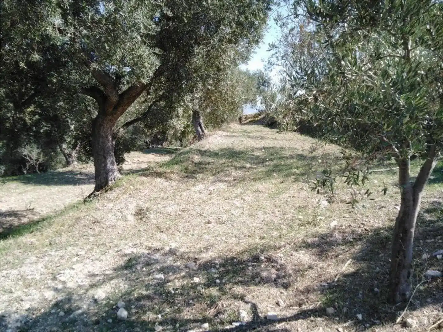 Finca rústica en venda en Lanjarón