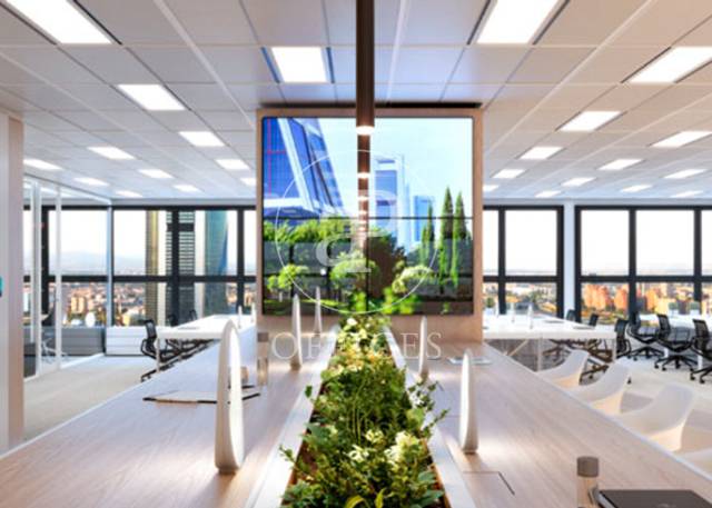 Oficina en Alquiler en P.º de la Castellana en Castilla