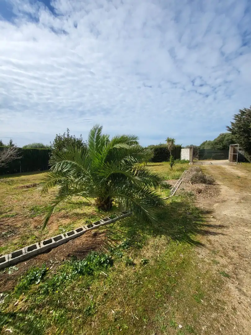 Finca rústica en venda en Medina Sidonia amb Calefacció, Jardí privat i Terrassa