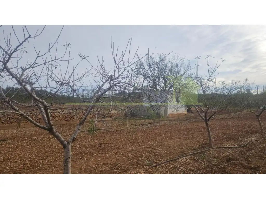 Wohnbaugrundstück zum Verkauf in Ulldecona, imagen 9