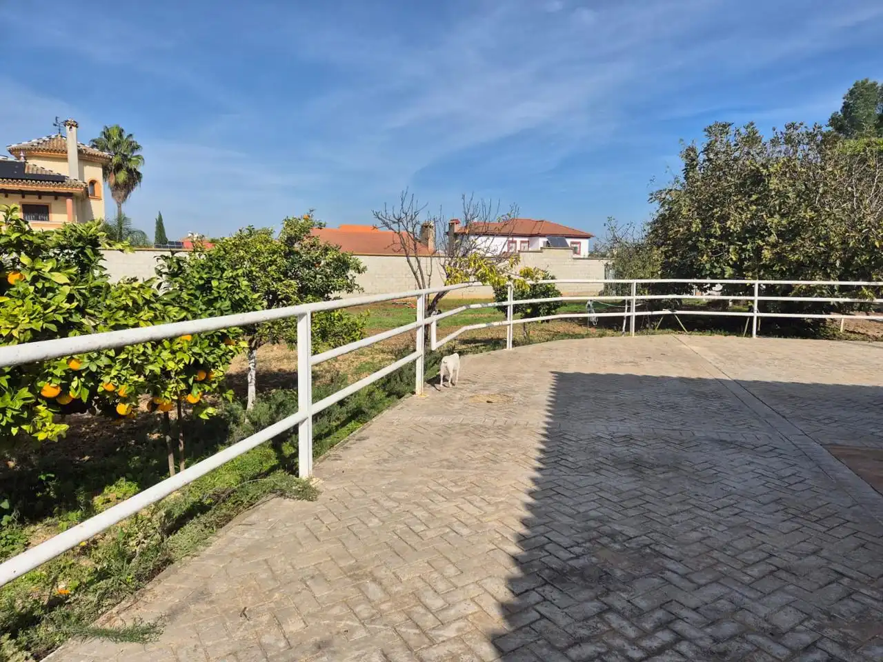 Terraza de Casa o chalet en venta en Palomares del Río con Aire acondicionado, Jardín privado y Terraza