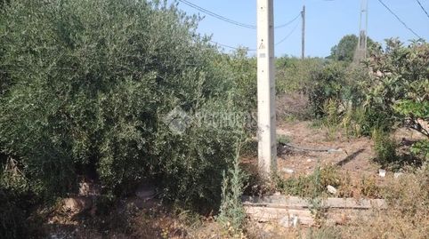 Foto 3 de Finca rústica en venda a Los Gallardos, Almería