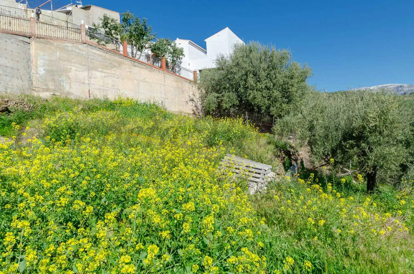 Casa in vendita a Sayalonga, imagen 19