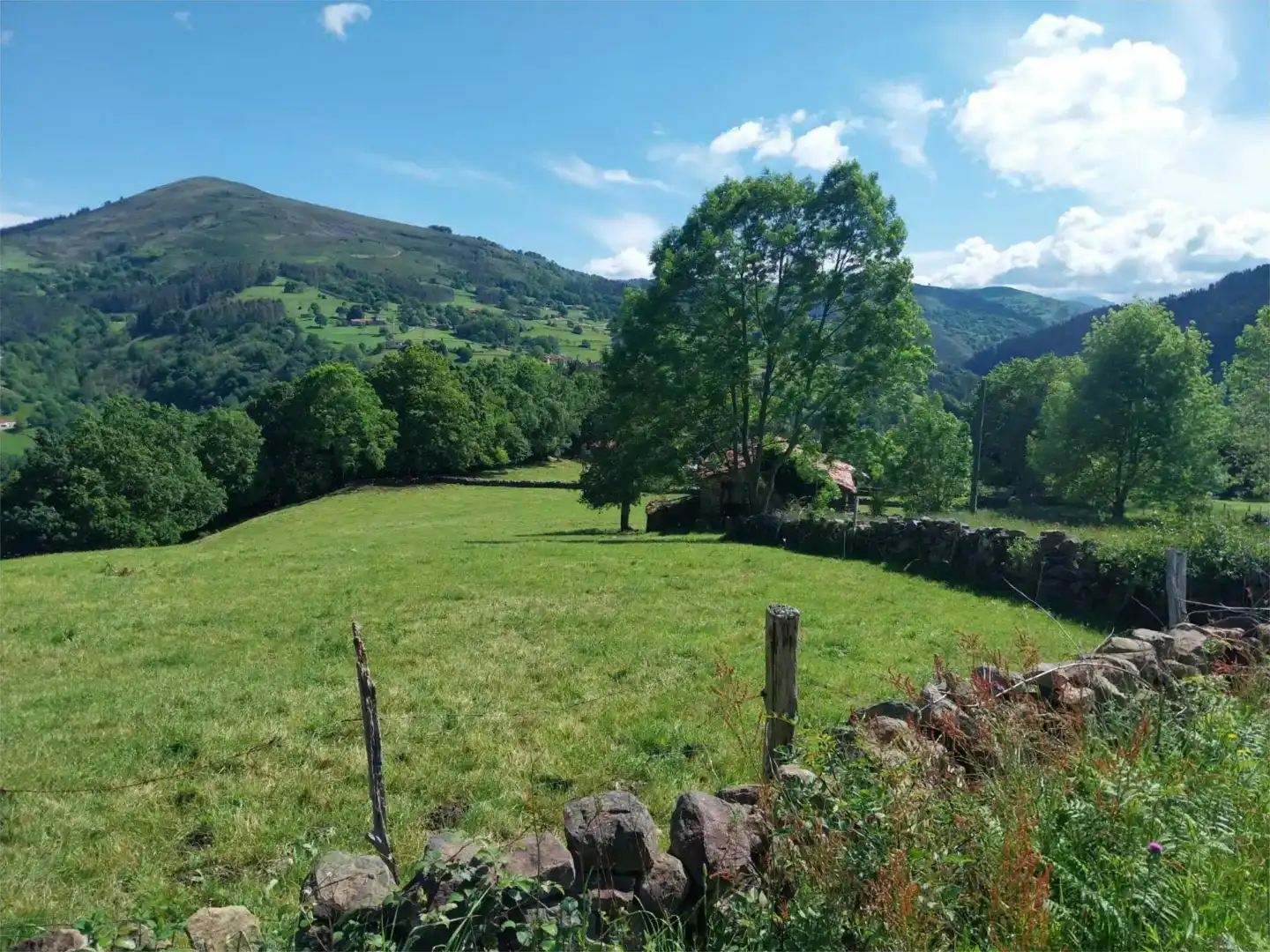 Jardí de Finca rústica en venda en Luena 