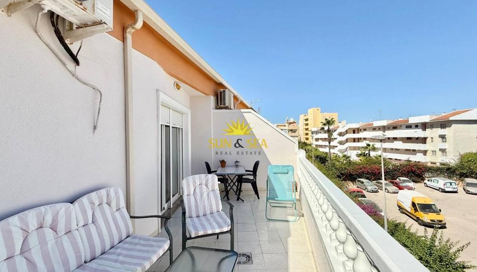 Photo 1 of Attic to rent in Avenida Habaneras - Curva de Palangre, Alicante