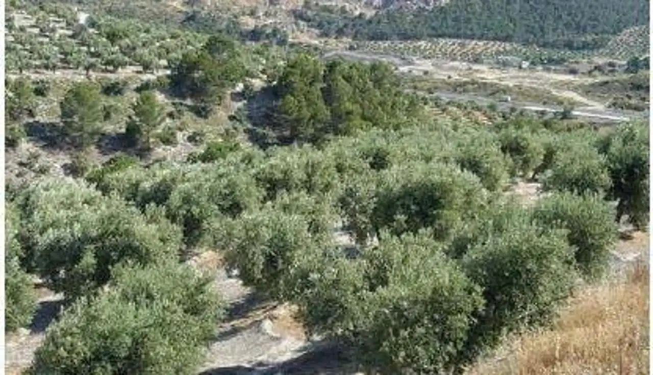 Lands and plots for sale in N/A