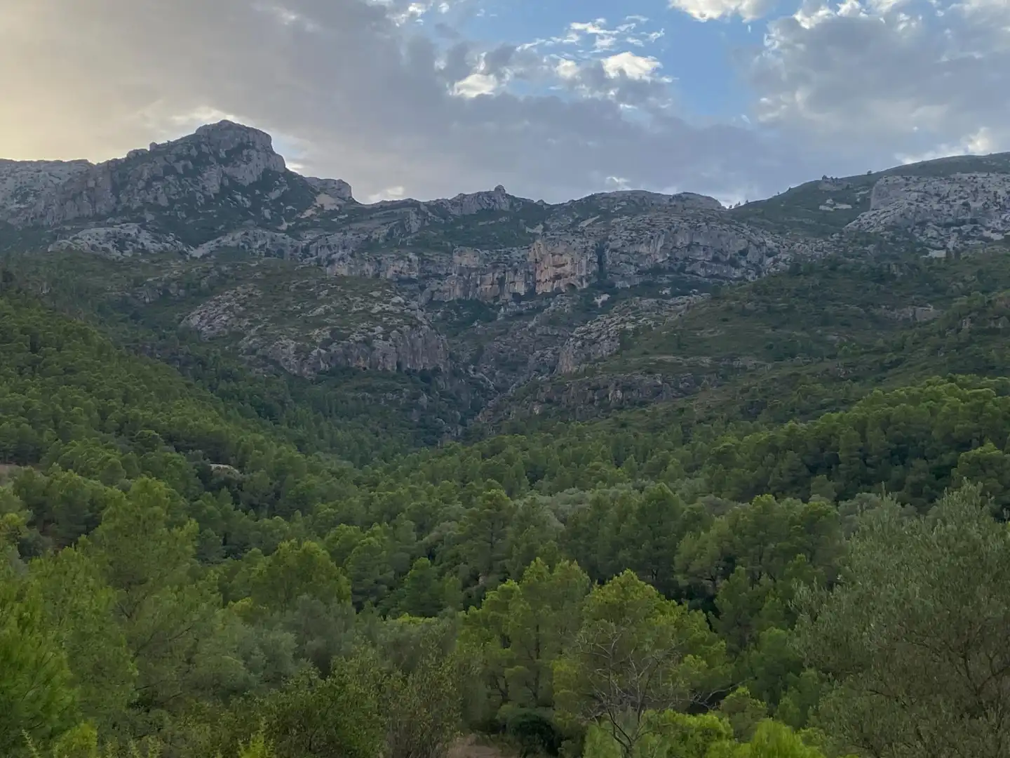 Terrain rustique à vendre à Alfara de Carles, imagen 12