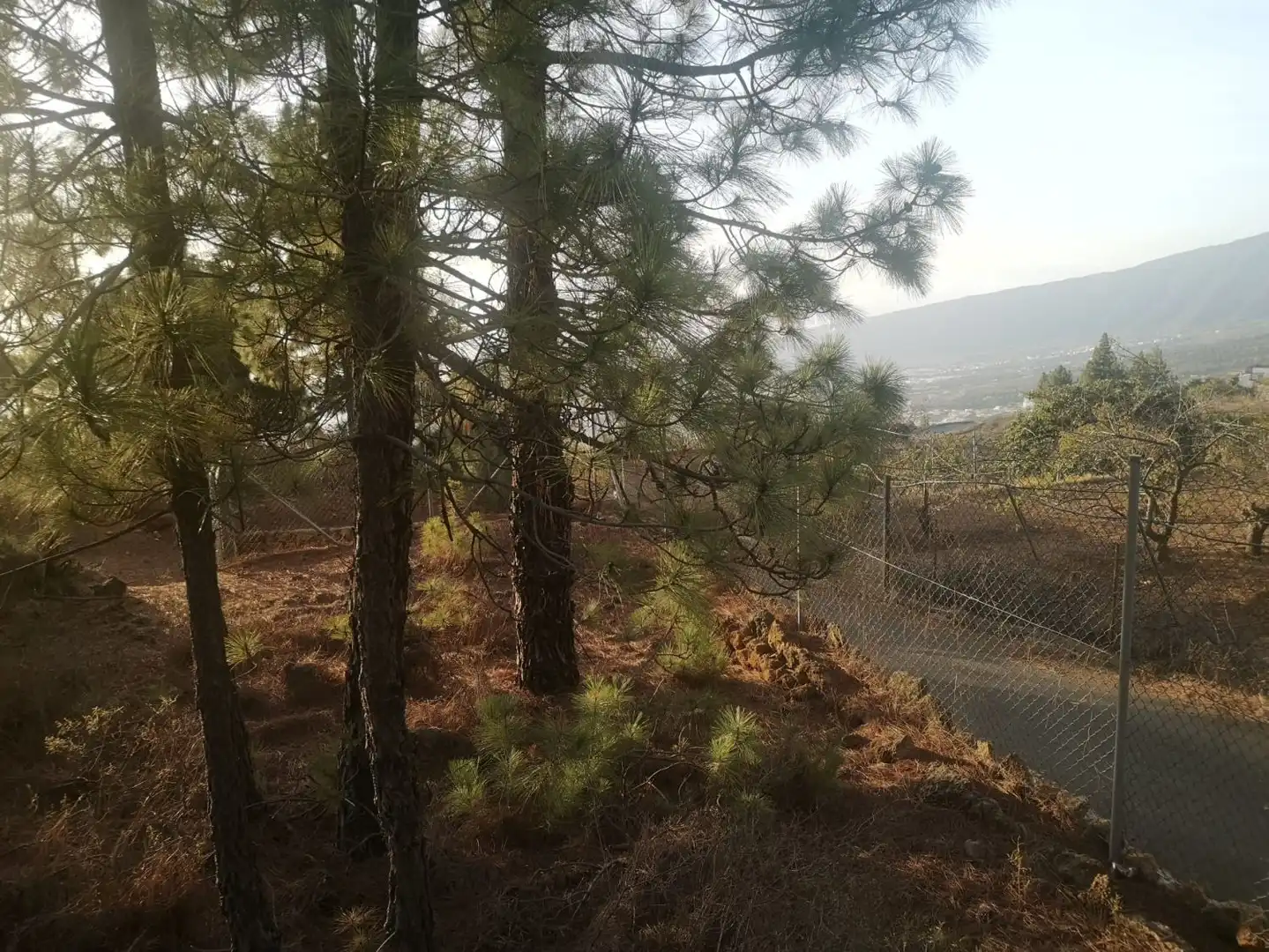 Residencial en venta en Arafo