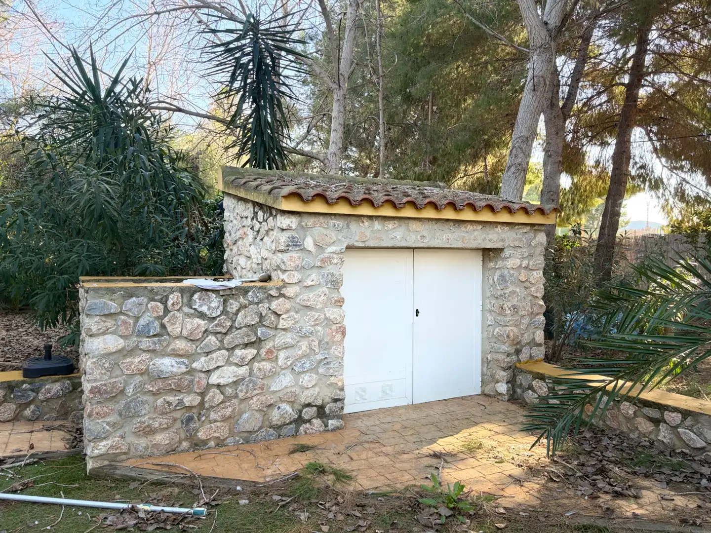 Lands and plots for sale in Abanilla, imagen 6