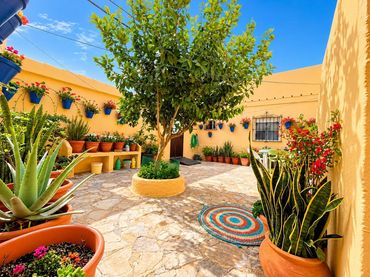House for sale in Calle Calle San Miguel