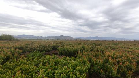 Photo 3 of Country house for sale in Centro, Alicante