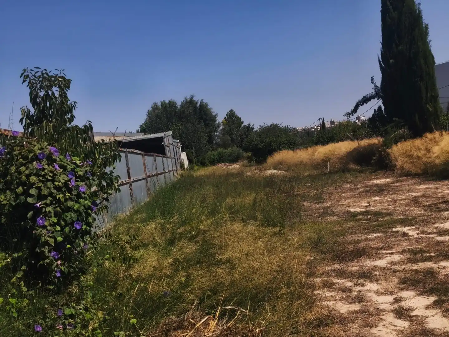 Terreno rustico in vendita a Ribera de Molina - Torrealta, imagen 3