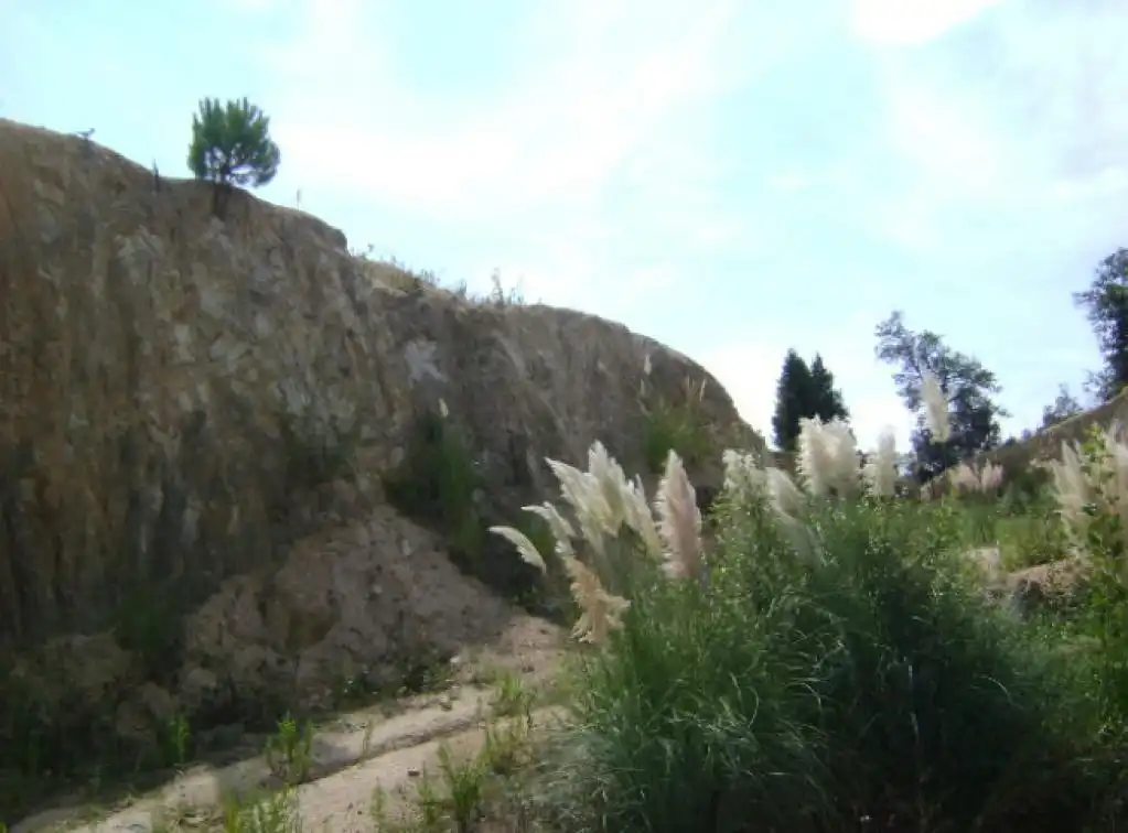 Rural land for sale in c/ avellaner, imagen 2