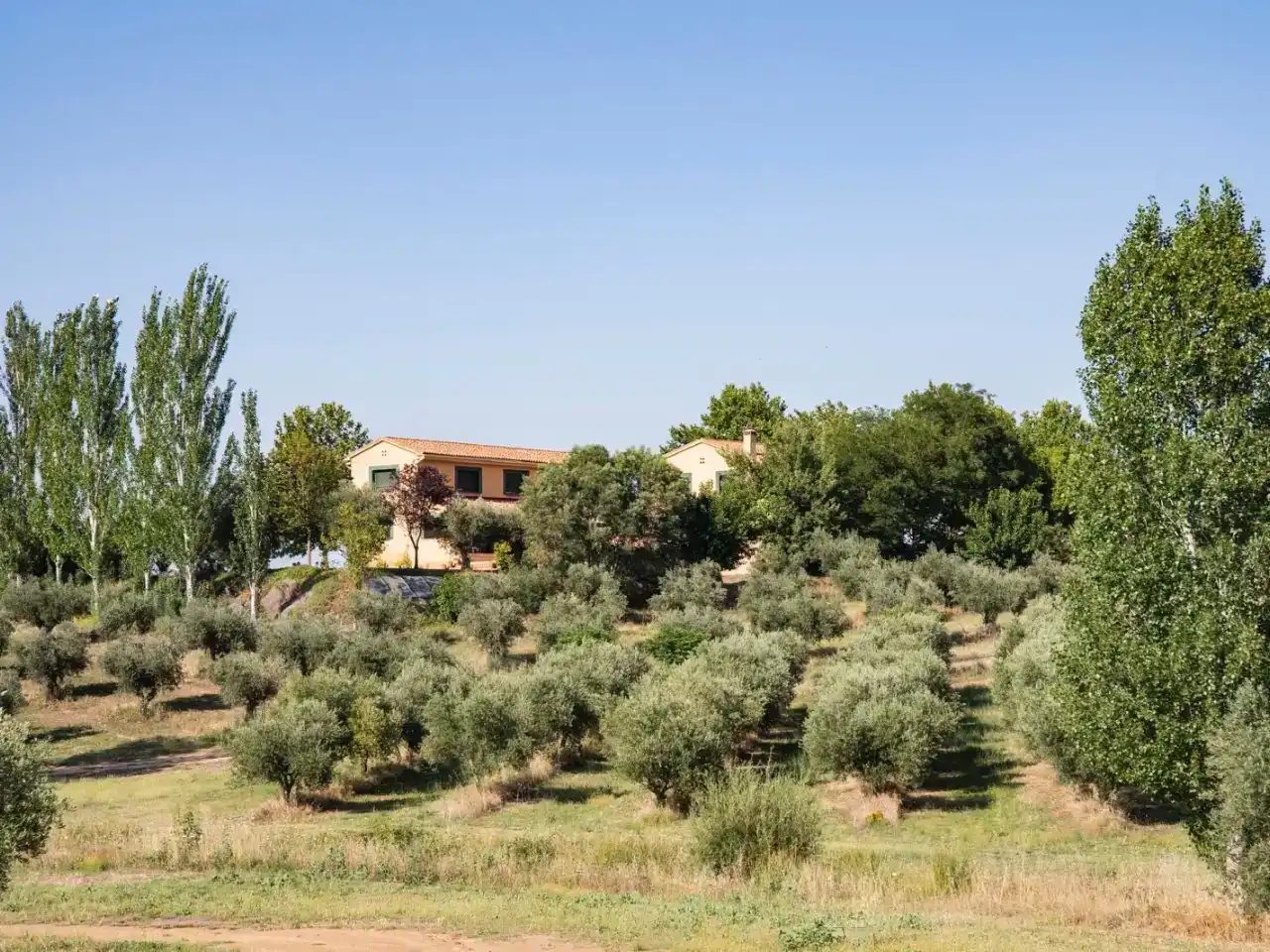 Vista exterior de Finca rústica en venda en Garvín amb Aire condicionat, Jardí privat i Piscina