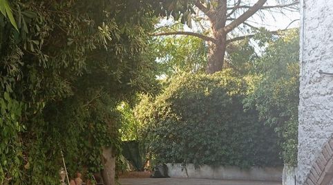 INCREIBLE CASA FAMILIAR CON SOLERA, imagen 4