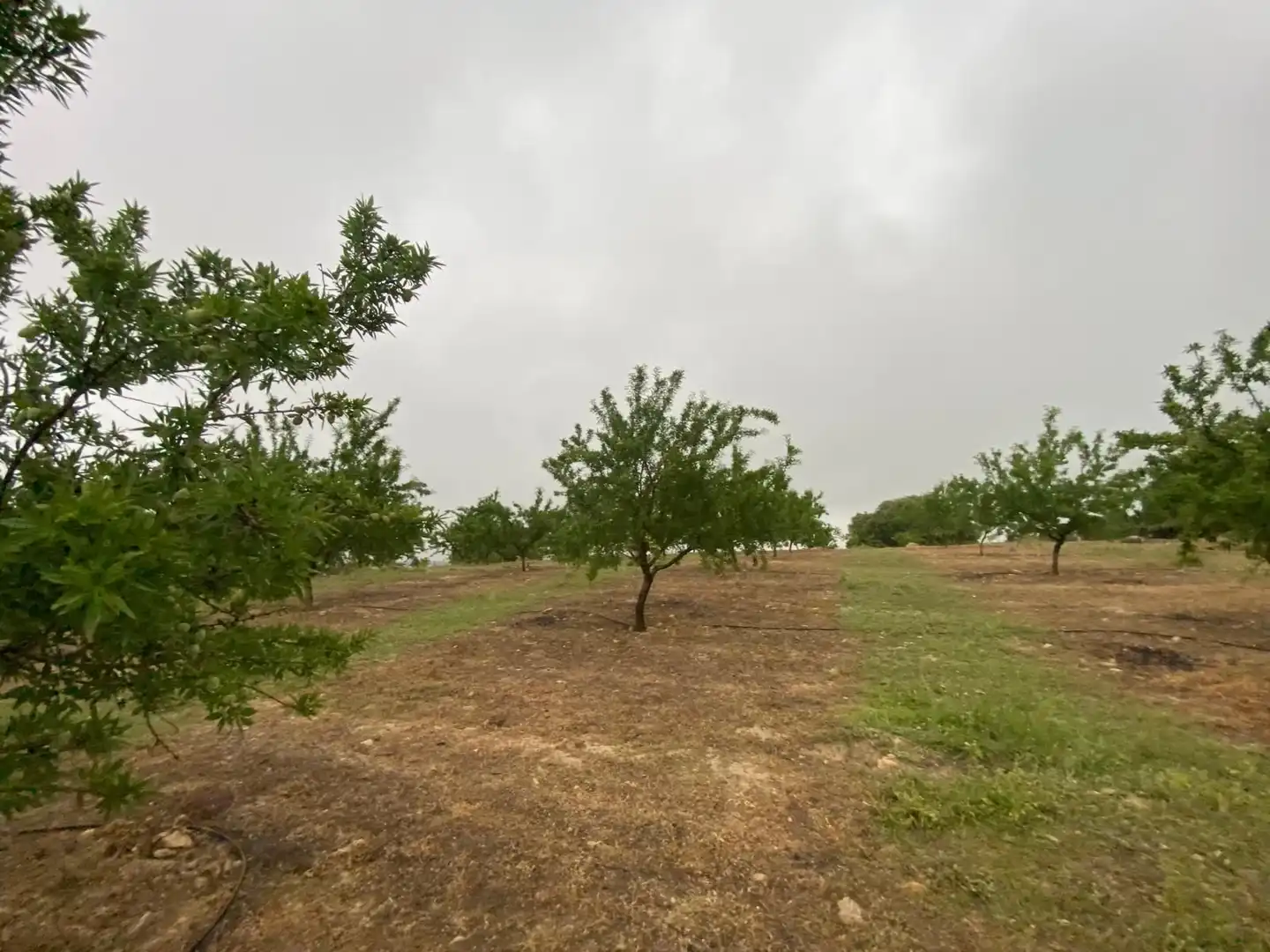 Terreni e lotti in vendita a Guadahortuna, imagen 37