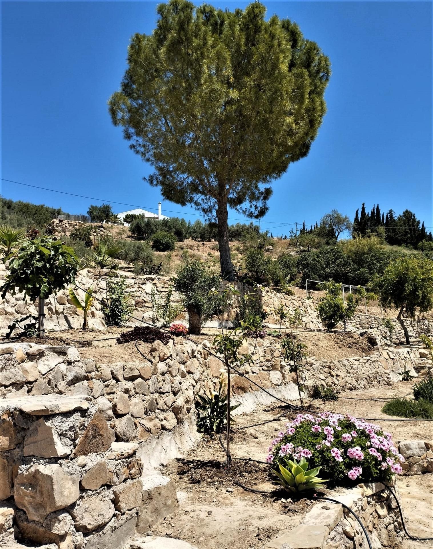 Jardín de Finca rústica en venta en Villanueva de la Concepción con Aire acondicionado y Jardín privado