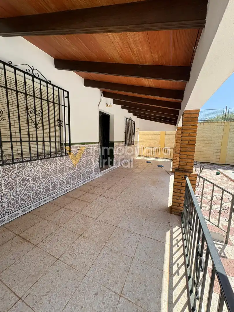 Vista exterior de Casa o chalet en venta en Lucena con Aire acondicionado, Piscina y Amueblado