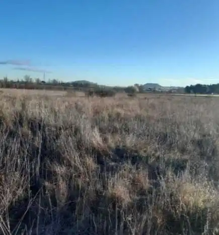 Terreny residencial en venda a Laguna de Duero