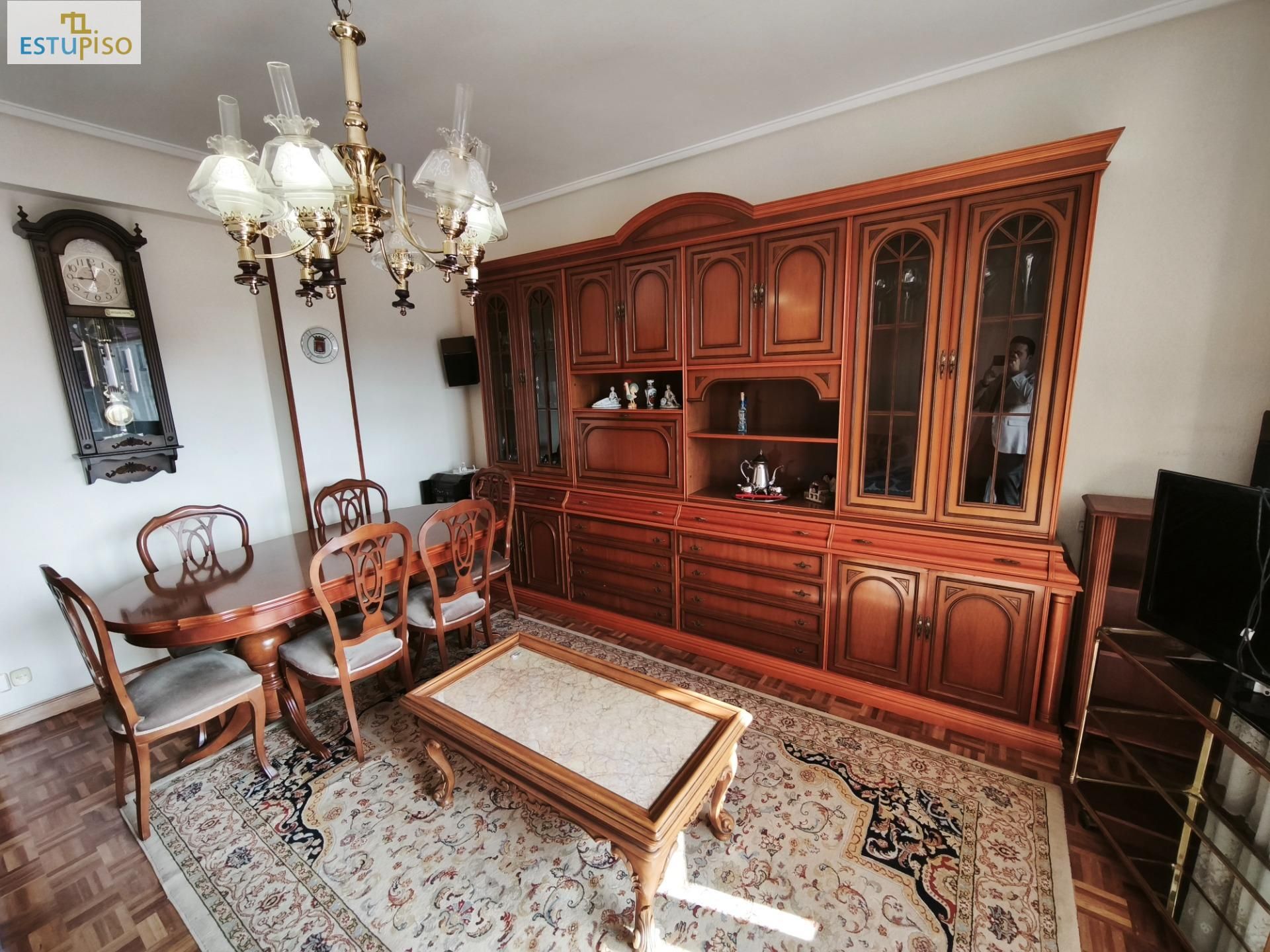 Sala d'estar de Pis de lloguer en Vitoria - Gasteiz amb Calefacció, Parquet i Terrassa