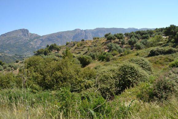 Terreno residencial en Venta en Confrides