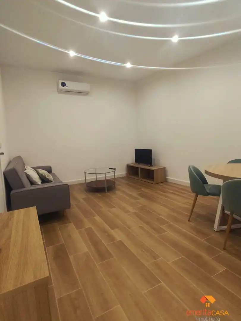 Wohnzimmer von Wohnungen zur Miete in Almendralejo