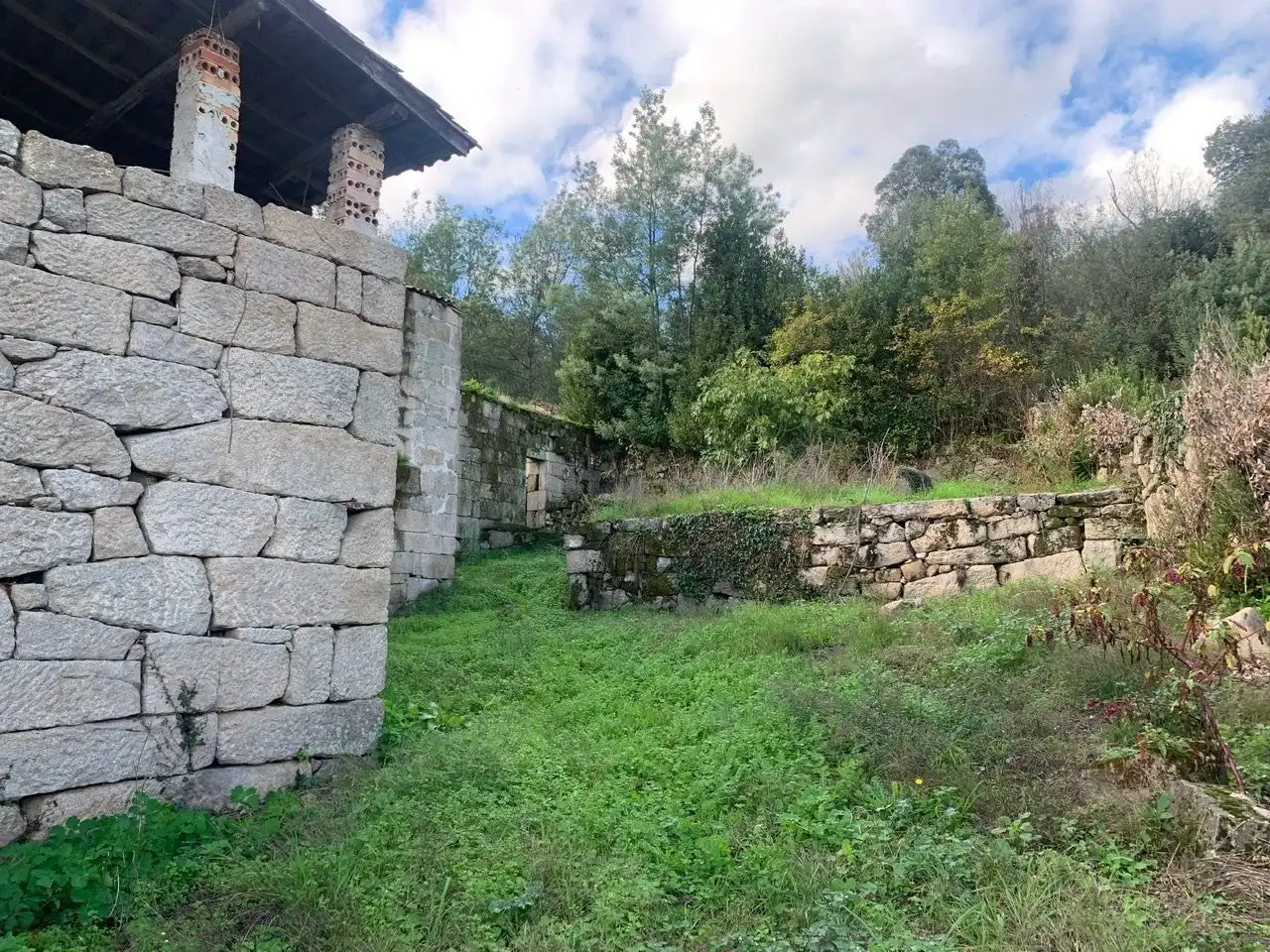 Houses for sale in San Rosendo
