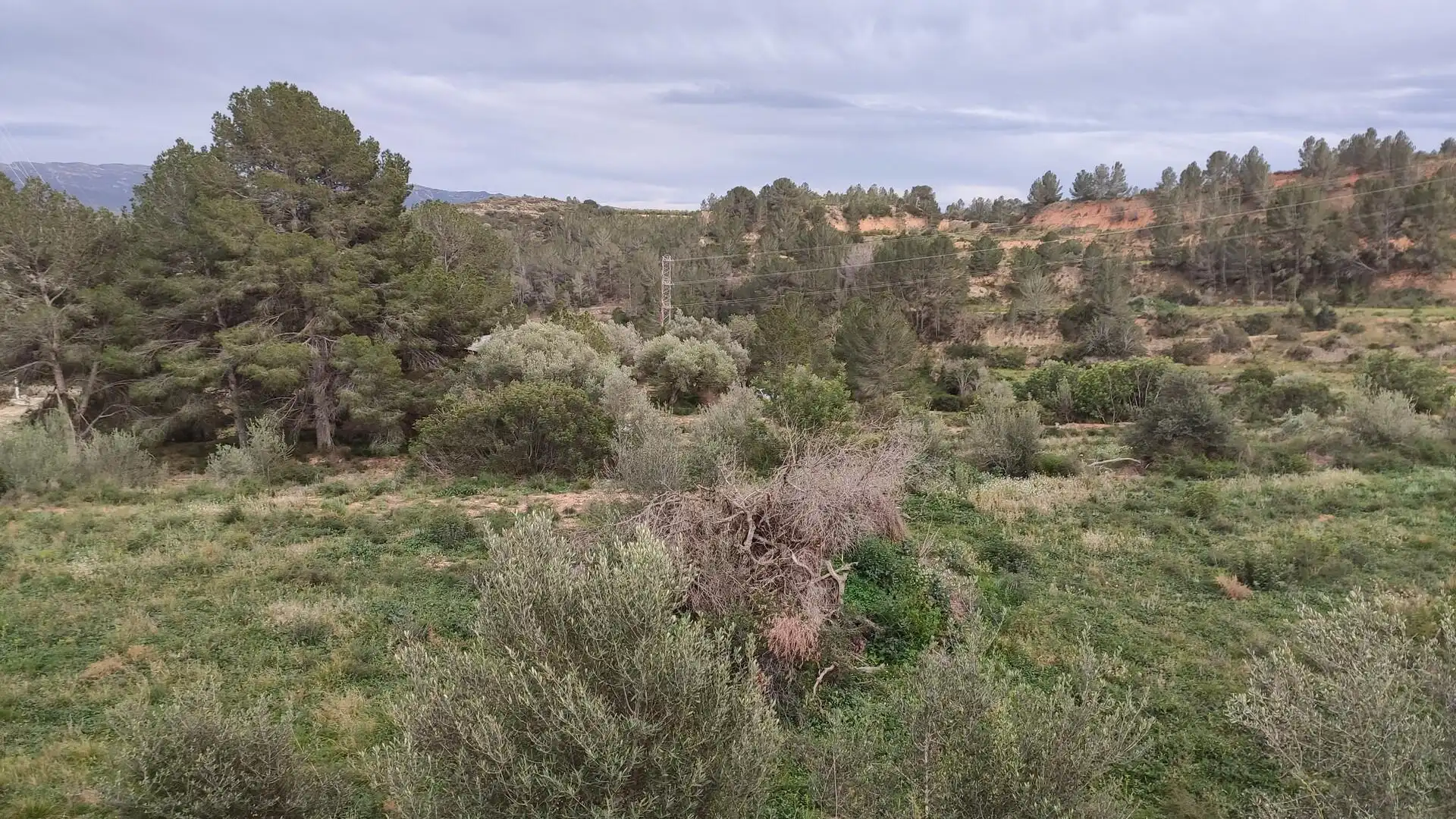 Finca rústica en venda en Xerta