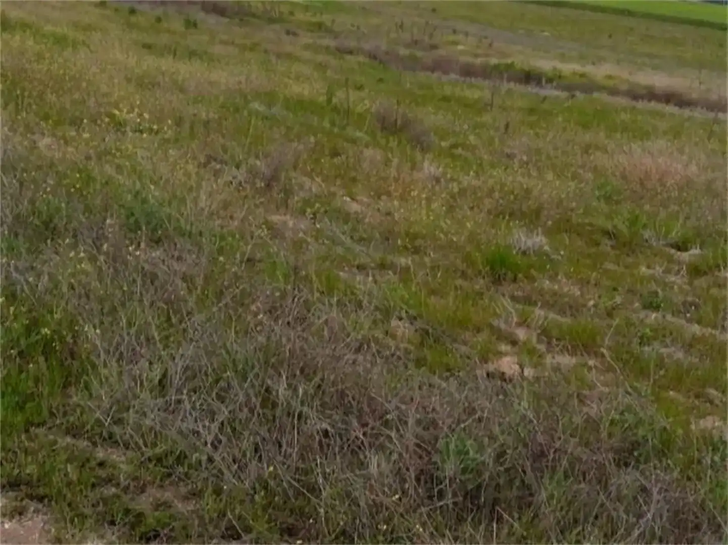 Land for sale in Escalona, Toledo