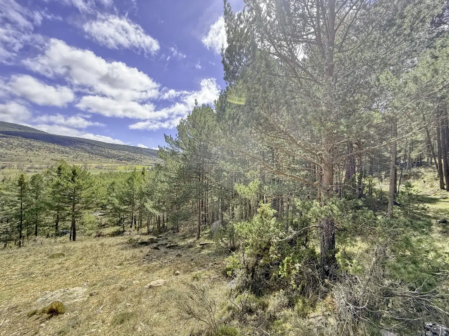 Residencial en venta en Alcalá de la Selva