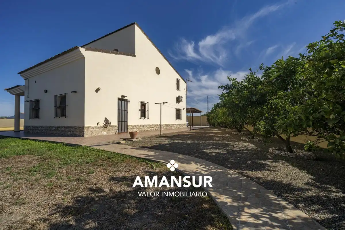 Vista exterior de Casa o xalet en venda en Villarrasa amb Aire condicionat, Calefacció i Jardí privat