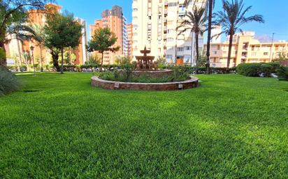 Jardí de Estudi en venda en Benidorm amb Calefacció, Jardí privat i Terrassa