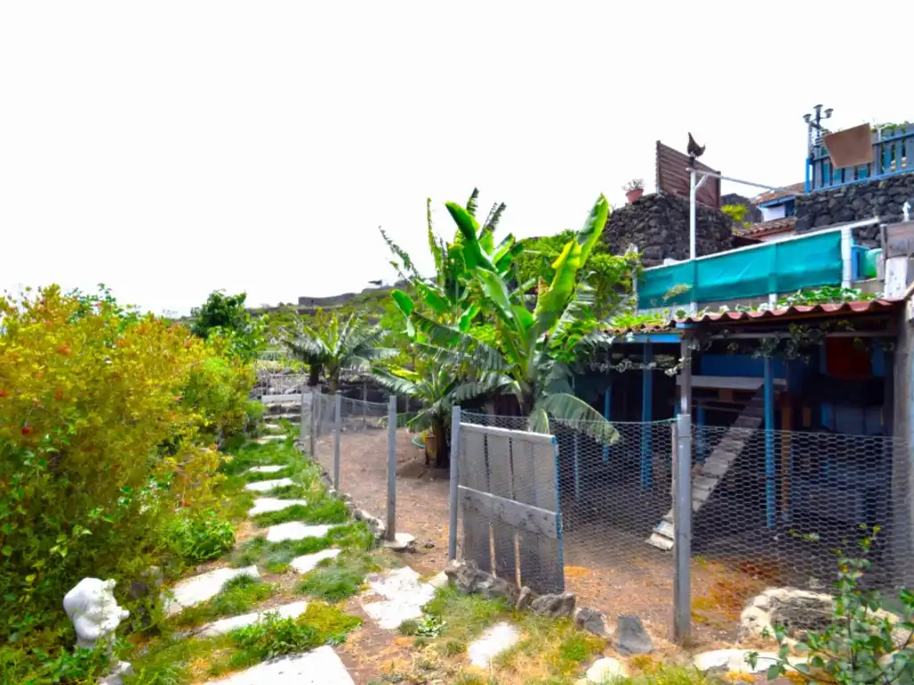 Vista exterior de Finca rústica en venda en Garachico