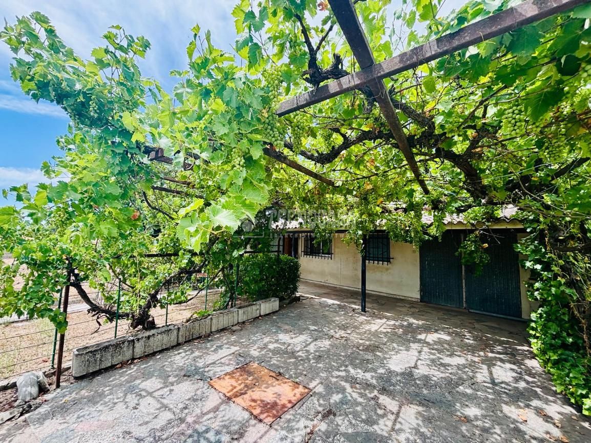 Jardí de Casa o xalet en venda en Viana de Cega