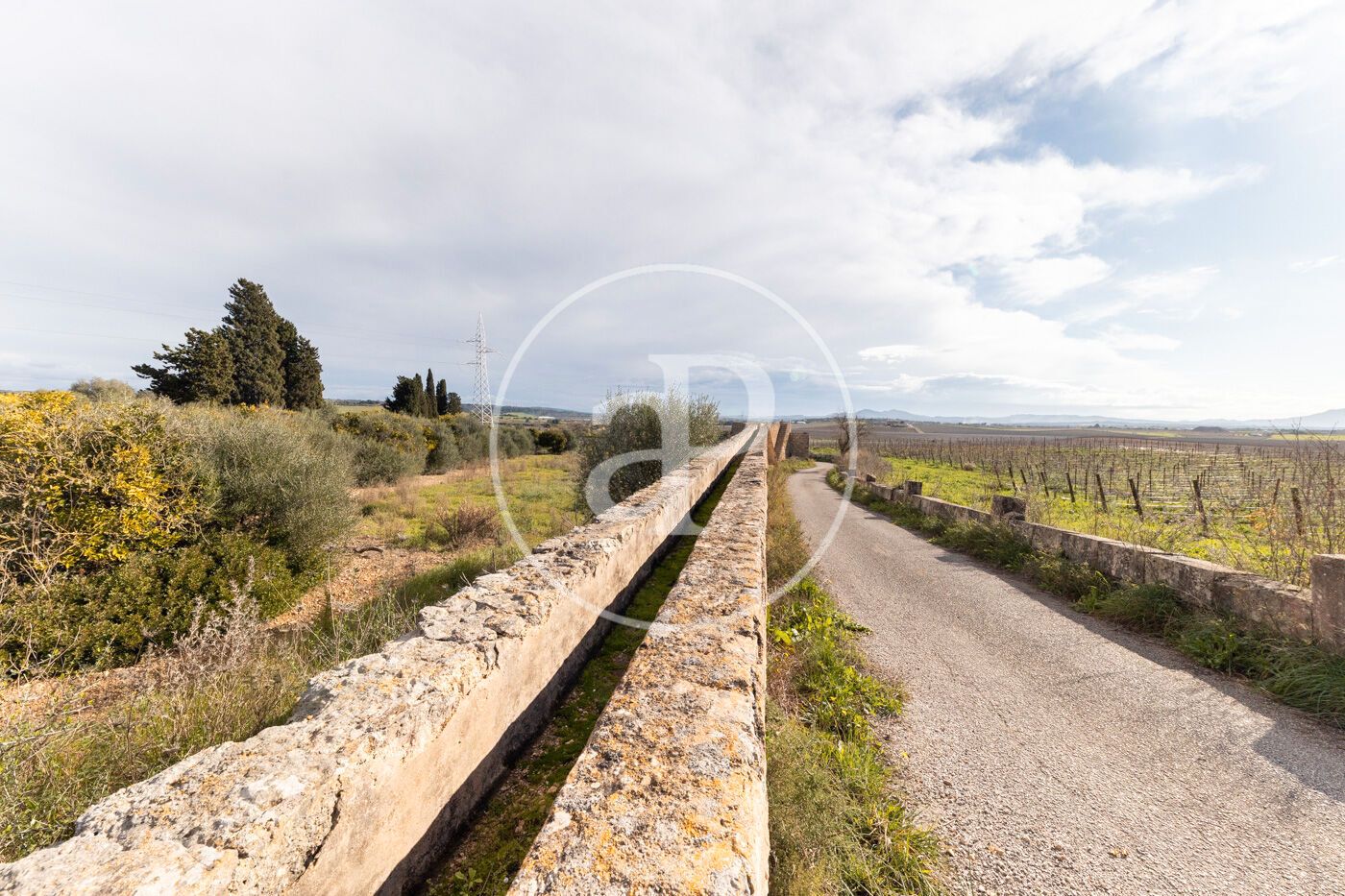 Exterior view of Residential for sale in Petra