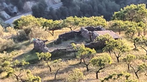 Photo 3 of Land for sale in Rambla Flores, Bayarque, Almería