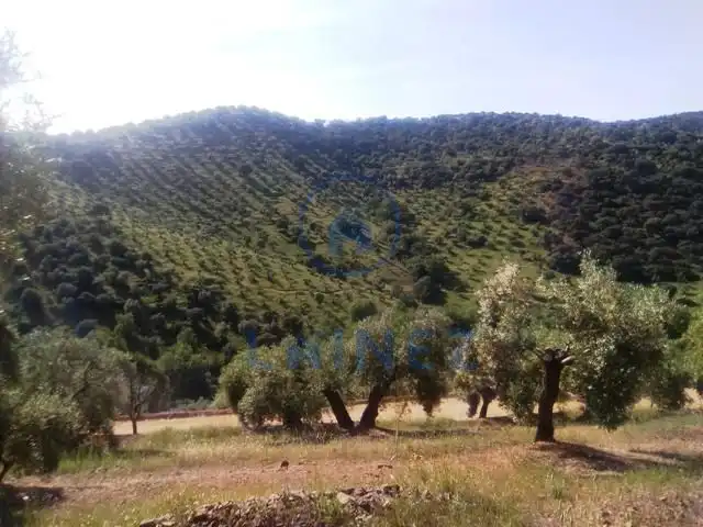 Residential land for sale in Espiel, imagen 8