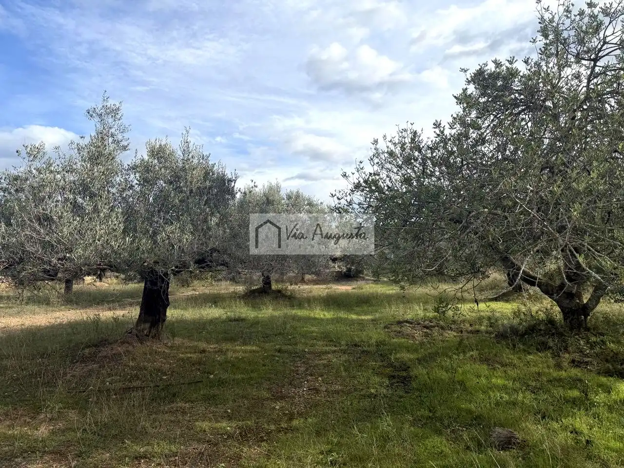 Grundstücke zum Verkauf in L'Ametlla de Mar 