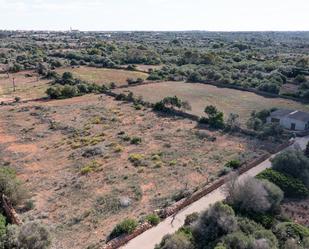 Land for sale in Ses Salines